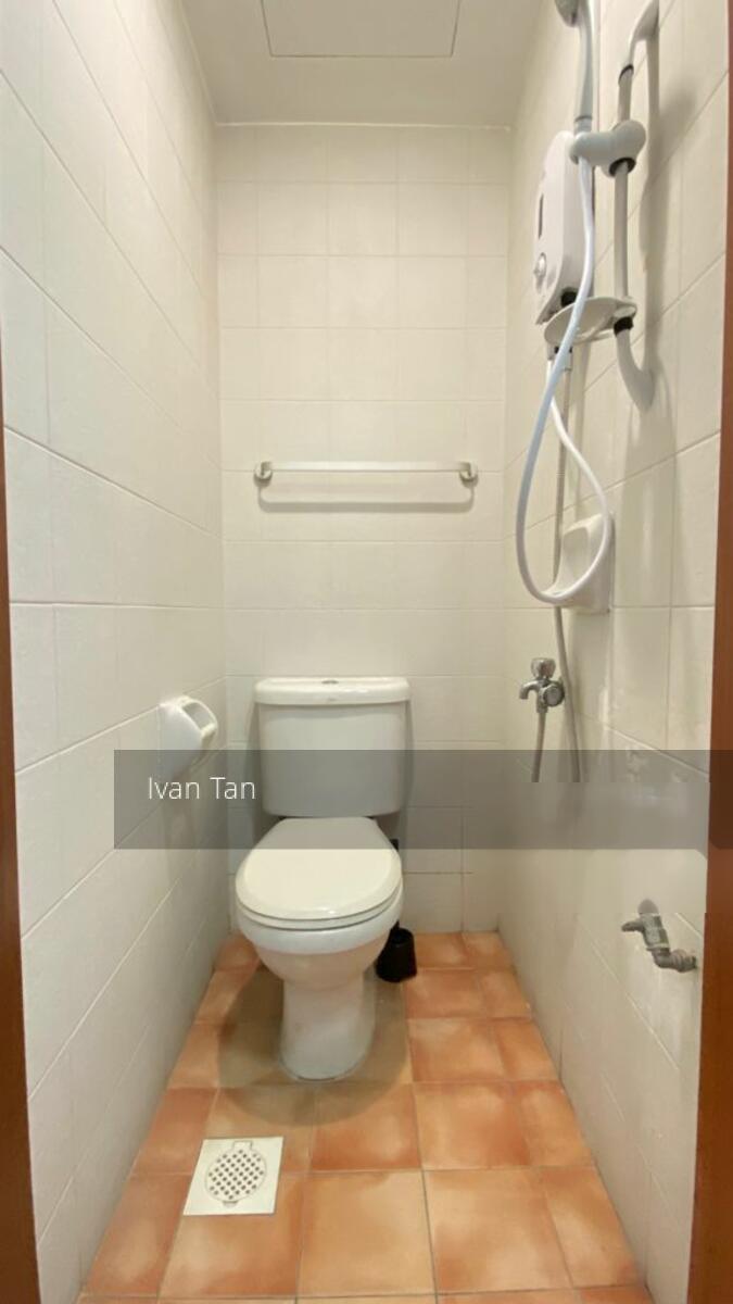 The Mayfair (D22), Condominium #347308631
